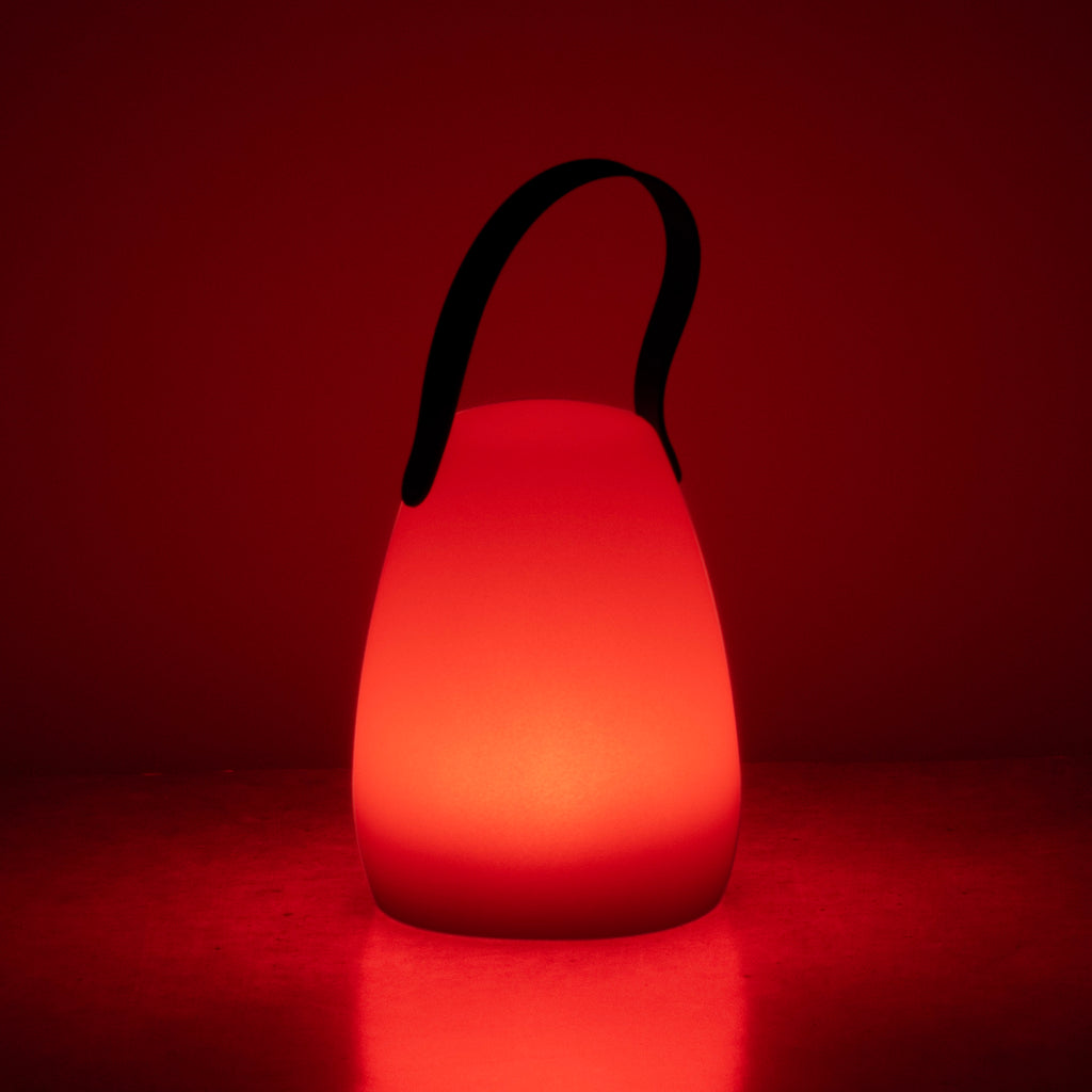 RUBY PRO Akkuleuchte RGBW (M)