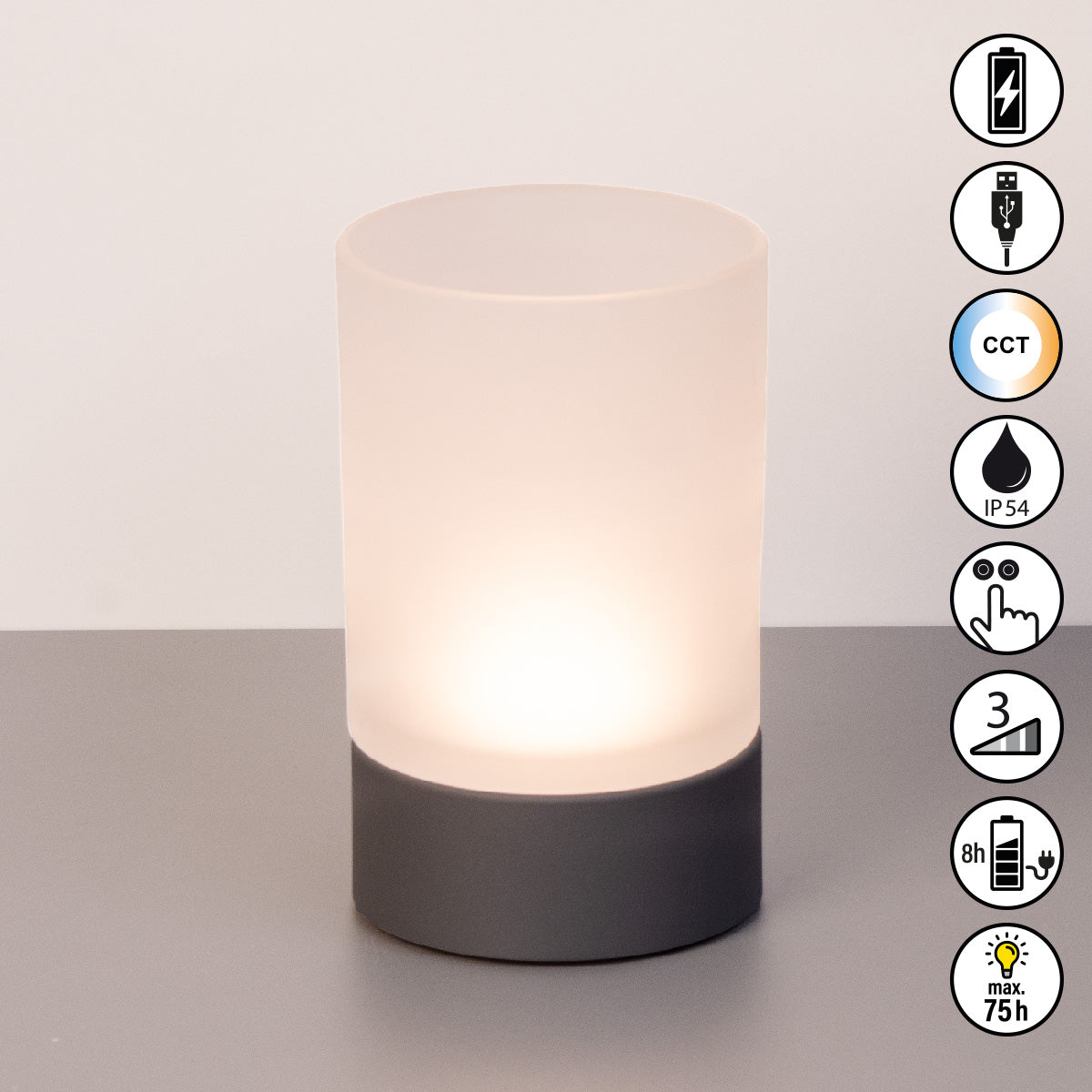 ARIVA PRO Akku-Windlicht satiniert (groß)