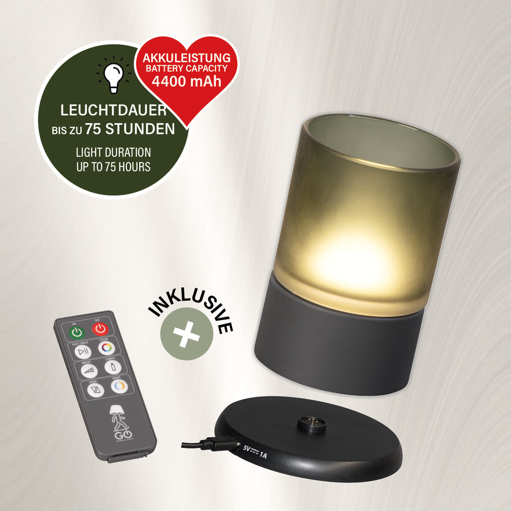 ARIVA PRO Akku-Windlicht satiniert (klein)